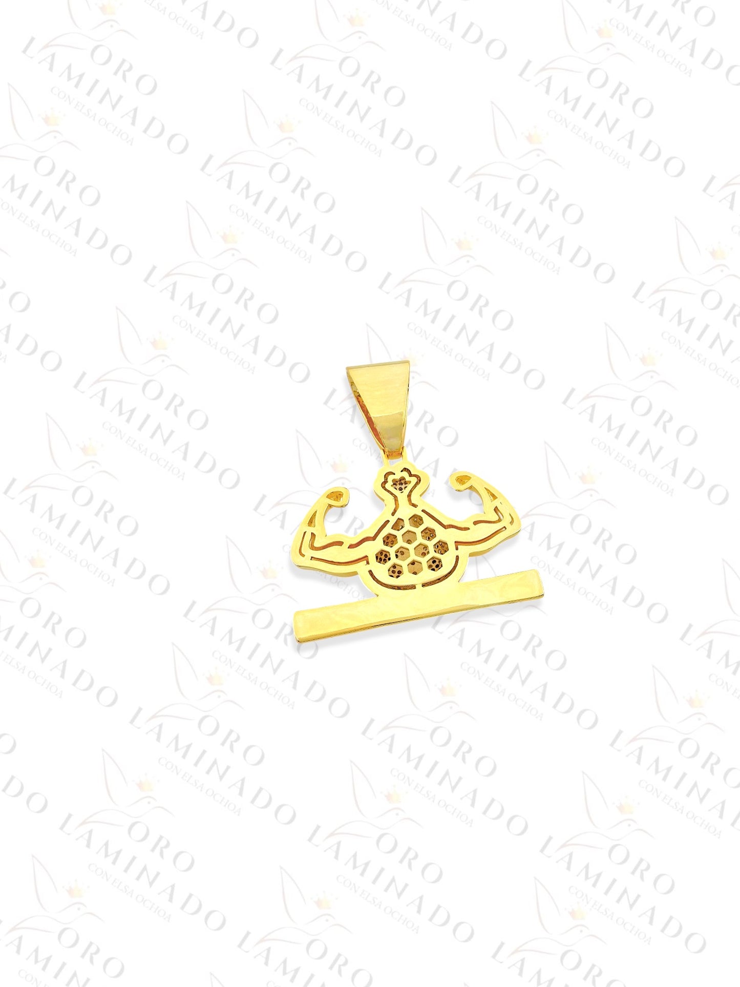 Gold Filled Money Power Pendant R255