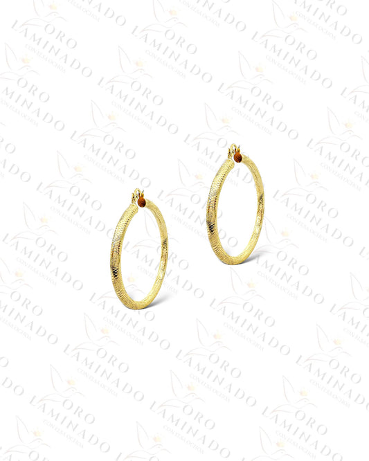 High Quality Design Hoop Earrings (Gold Filled) C353