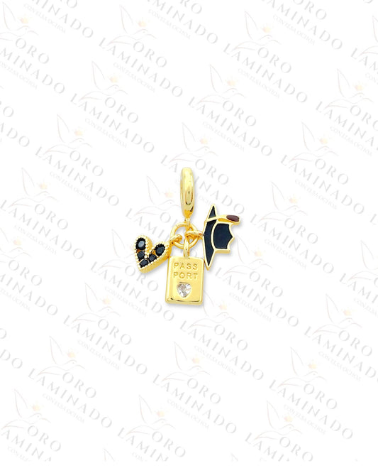 Passport and Dark Heart Charm (Gold Filled) R61